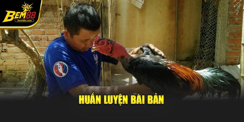 Huấn luyện bài bản