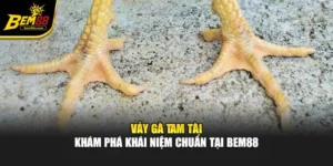 Vảy Gà Tam Tài – Khám Phá Khái Niệm Chuẩn Tại Bem88